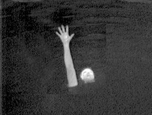 The added detail and precision of the image with thermal imaging. © Mike Rose